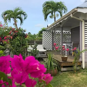 Ti-mango Vue , Sainte-Anne (Grande-Terre) Guadeloupe